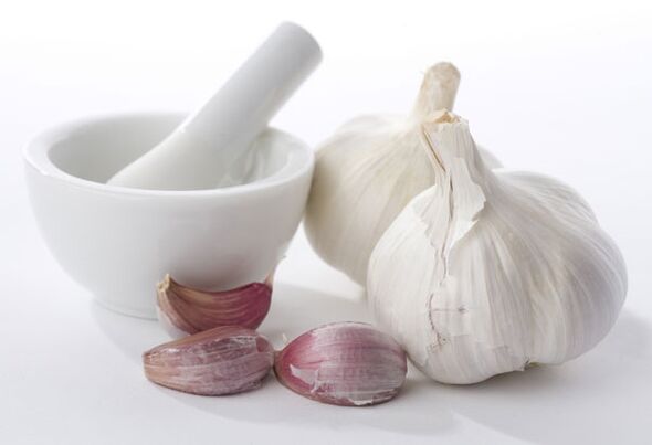 Garlic is an effective insect repellent