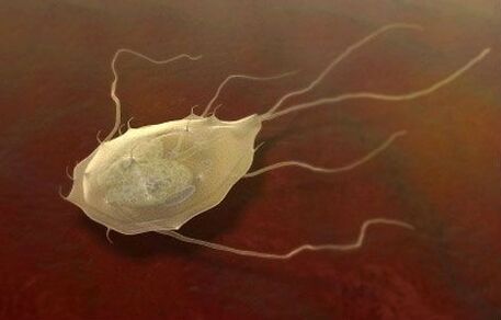 Giardia is a parasite too! 