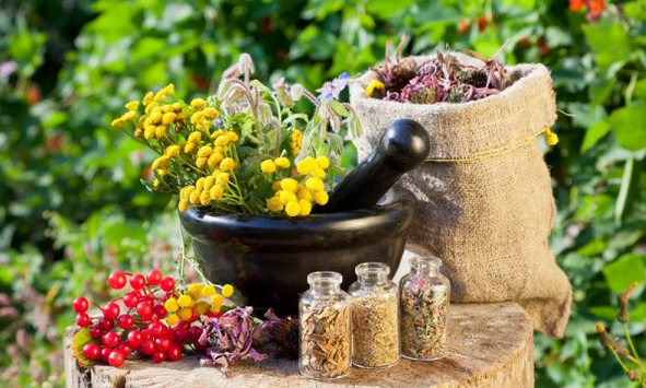 Herbs from worms