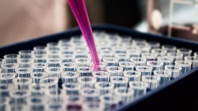 How to test for in vivo parasites
